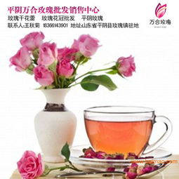 大量收购玫瑰荷叶茶茶叶,大量收购玫瑰荷叶茶茶叶生产厂家,大量收购玫瑰荷叶茶茶叶价格